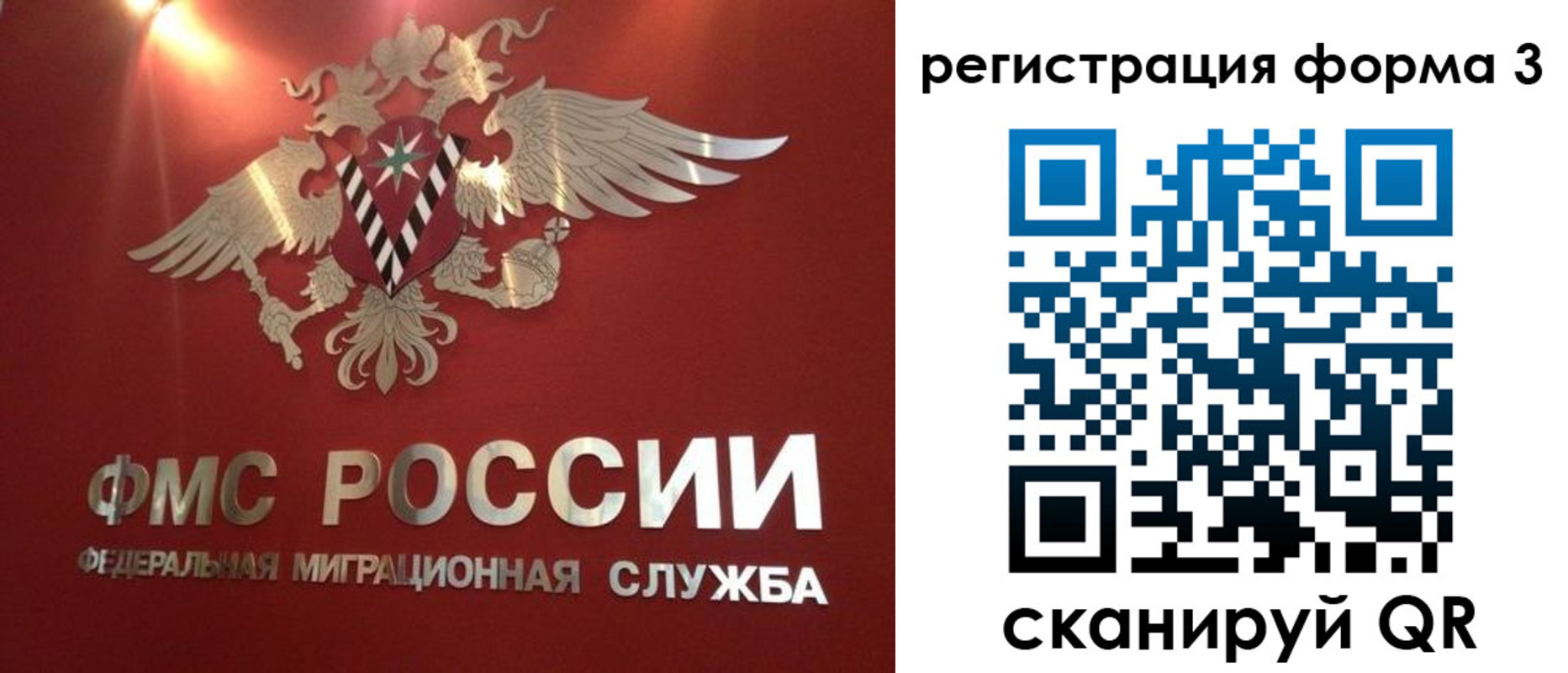 прописка гарантия в Новоульяновске